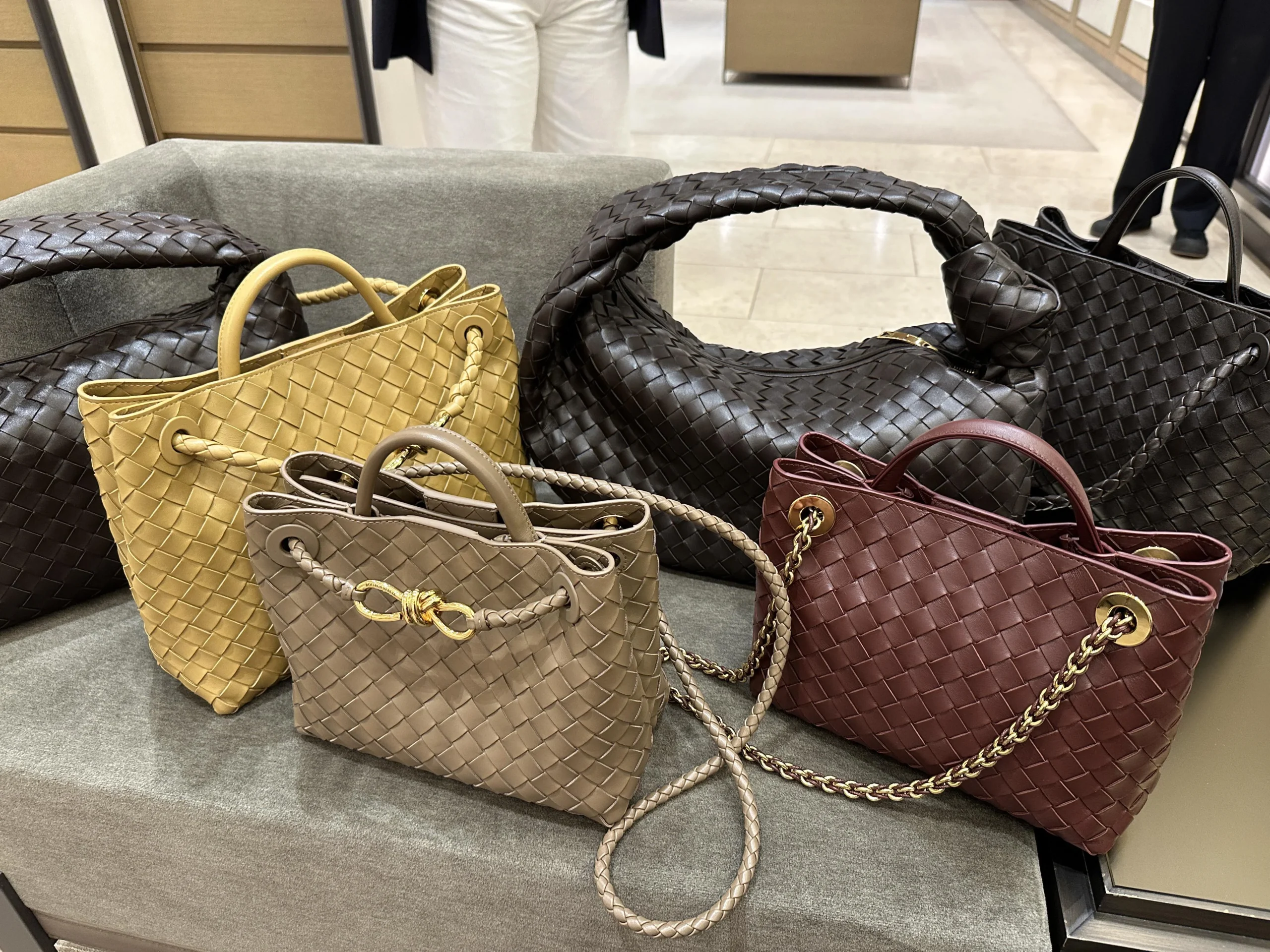 Bottega Veneta Jodie vs Andiamo
